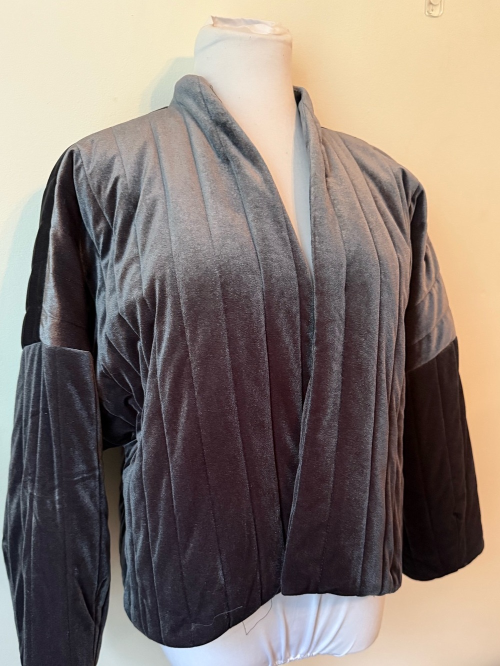 Grey Velvet Jacket - Picture 3 of 5